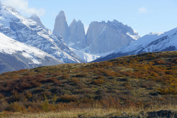 Nomade Epic Landescapes  en Torres del Paine &  Chalten - Imagen 3